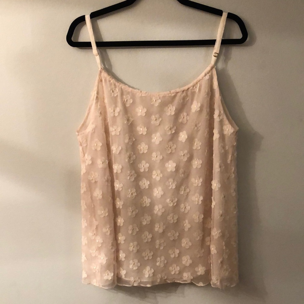 dylan Super Fun Sheer Tank